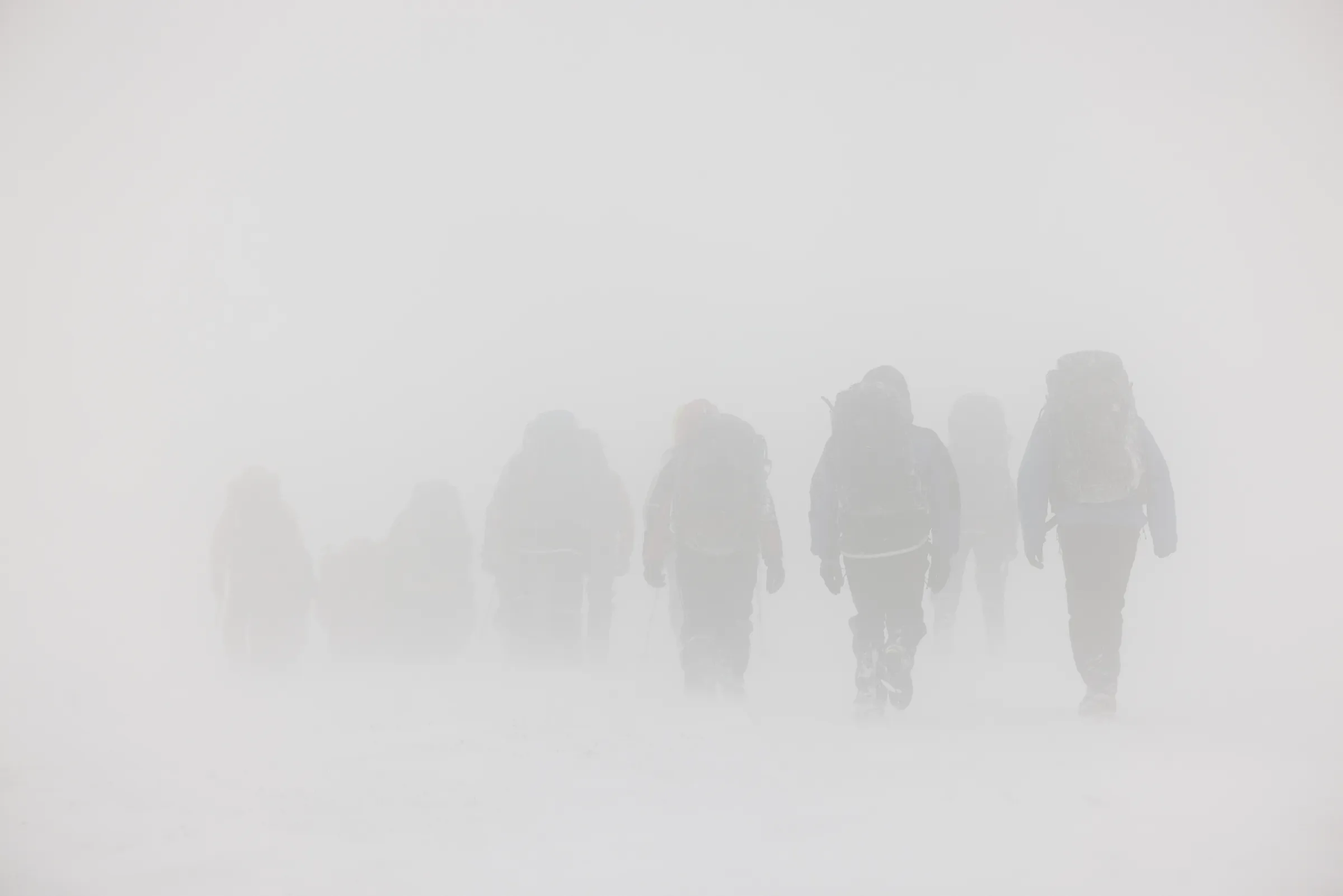 A line of mountain rescue volunteers walking through a whiteout